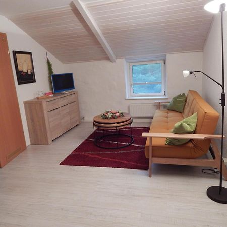 Ferienwohnung Schwemmer Pirna Luaran gambar